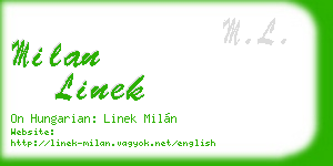 milan linek business card